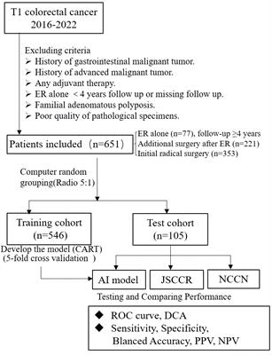 An artificial intelligence prediction model outperforms conventional guidelines in predicting lymph node metastasis of T1 colorectal cancer